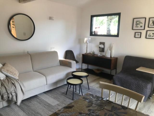 La Brindille Petit Mas Provencal Meuble De Tourisme 3 Etoiles 2-3 Personnes 1 Piece 30 M2 Tout Confort Lisiere Foret Jardin Jacuzzi Piscine Saint-Paul-en-Forêt エクステリア 写真
