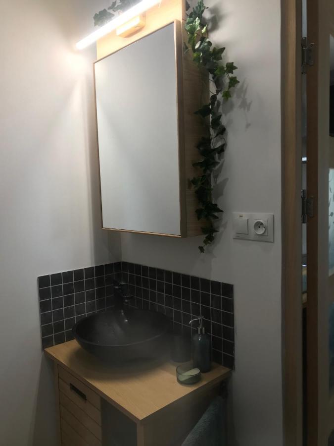 La Brindille Petit Mas Provencal Meuble De Tourisme 3 Etoiles 2-3 Personnes 1 Piece 30 M2 Tout Confort Lisiere Foret Jardin Jacuzzi Piscine Saint-Paul-en-Forêt エクステリア 写真