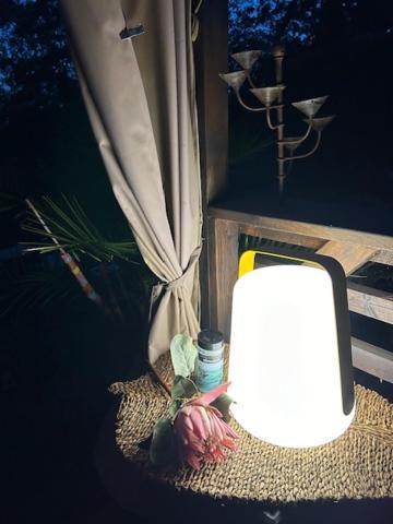 La Brindille Petit Mas Provencal Meuble De Tourisme 3 Etoiles 2-3 Personnes 1 Piece 30 M2 Tout Confort Lisiere Foret Jardin Jacuzzi Piscine Saint-Paul-en-Forêt エクステリア 写真